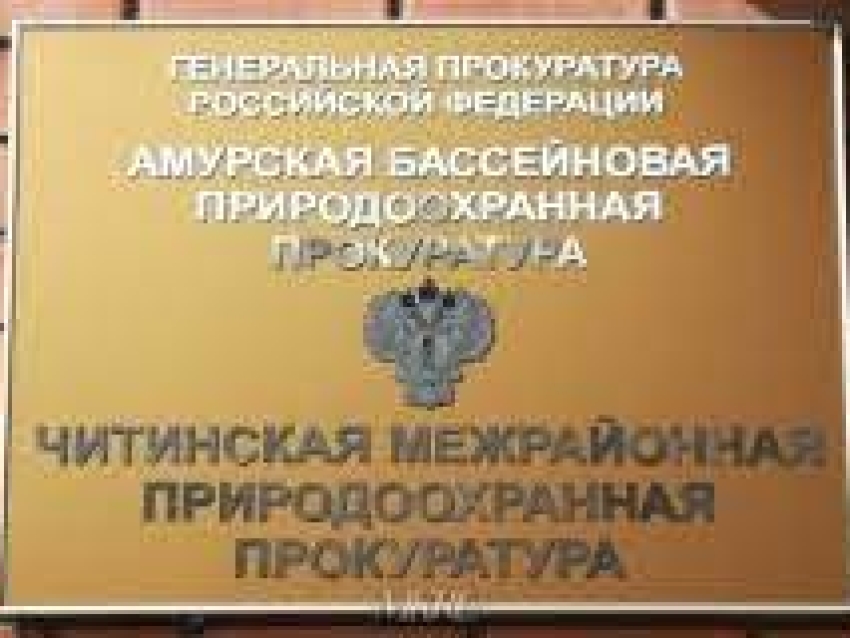 В Забайкальском крае по требованию природоохранного прокурора недропользователем устранены нарушения законодательства при добыче золота
